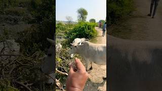 Survival Skills: SMART ideas and USEFUL with single mom in forest #camping #outdoor #bushcraft