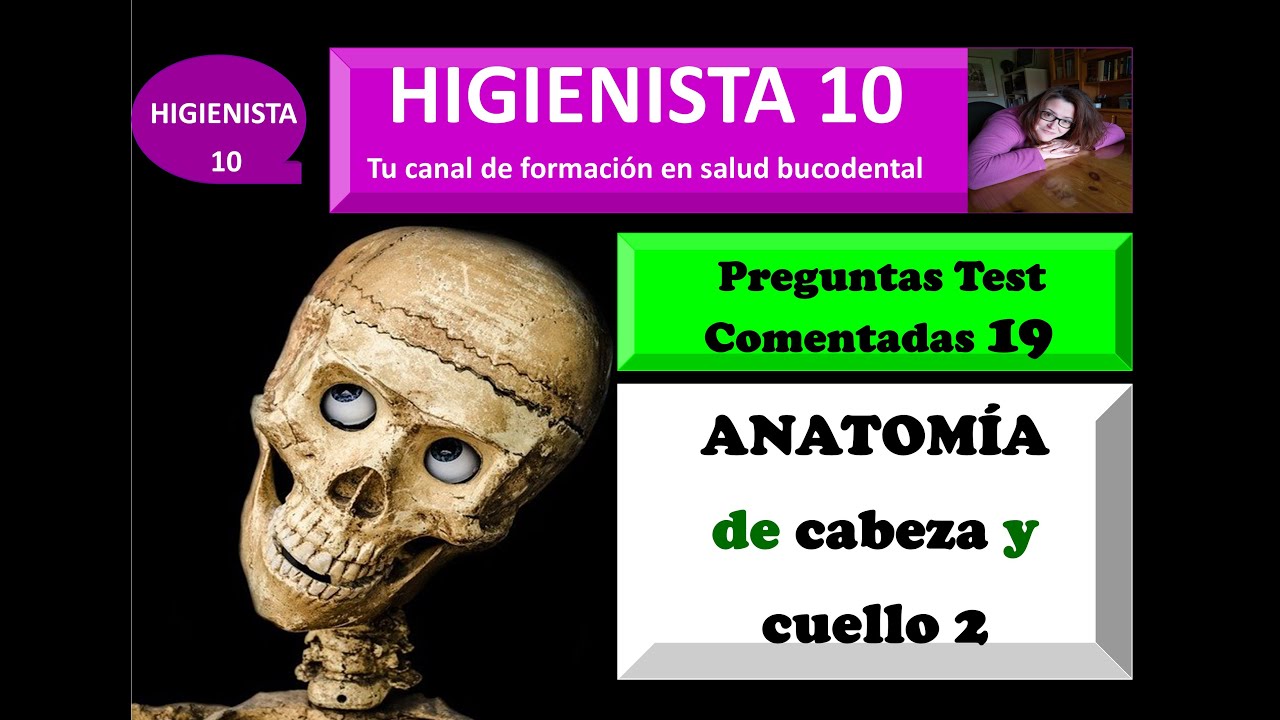 ANATOMÍA DE CABEZA Y CUELLO 2. PREGUNTAS TEST COMENTADAS 19. - YouTube