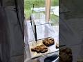 Malles Terrarium (Teaser)