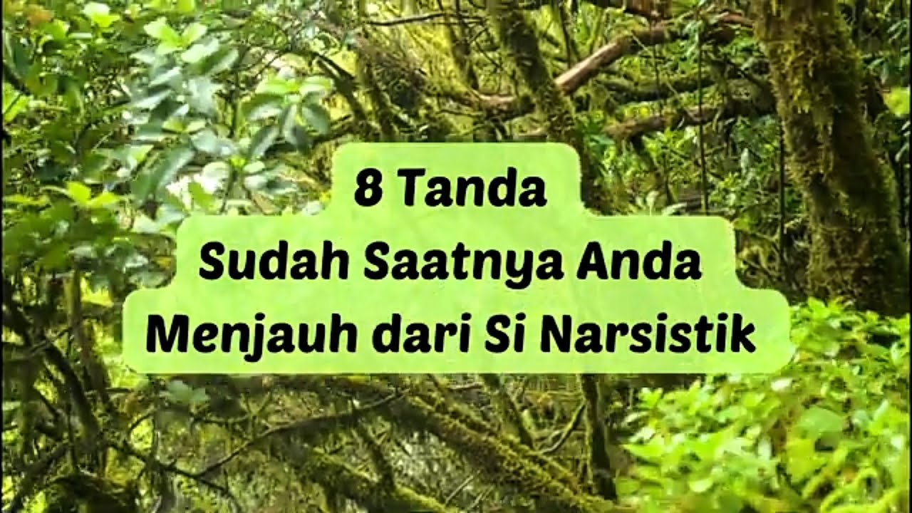 8 TANDA SUDAH SAATNYA ANDA MENJAUH DARI ORANG NARSISTIK   #fyp #npd