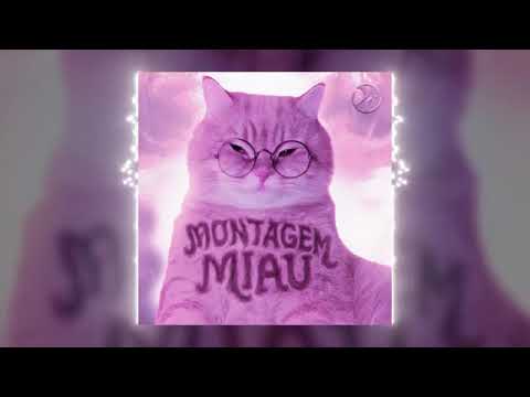 Montagem Miau (SLOWED) 
