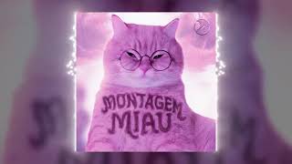 Montagem Miau slowed 