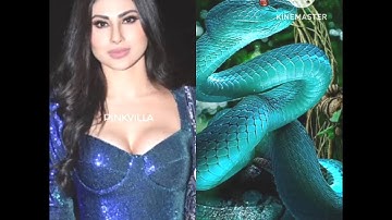 all nagin actress same color dress with same color snake status🐍#nagin dance#ytshorts 💞🐍