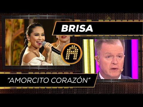 ¡Brisa hizo vibrar