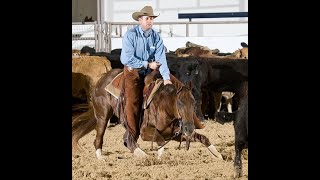 THE BAYER SELECT CHAMPIONSHIP SHOW IN AMARILLO, TEXAS