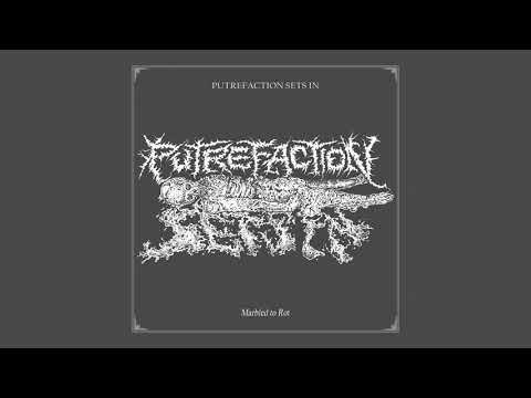 PUTREFACTION SETS IN - Marbled to Rot - (OFFICIAL SINGLE 2021)