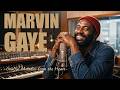 Marvin Gaye - Soulful Melodies From The Heart 🌟 Chicago Soul 1970s Smooth Grooves [Full Album]