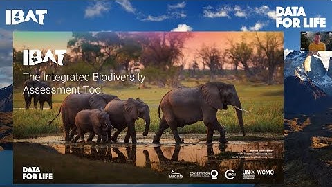 IBAT Species webinar