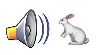 Rabbit Eating - Sound Effect (HD)