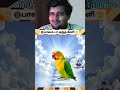 Instant Karma: Poonai Thappichathu! 🤯 Try not to laugh | shorts #viral #shorts #trending