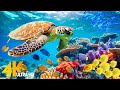 Ocean 4K - Sea Animals for Relaxation, Beautiful Coral Reef Fish in Aquarium (4K Video Ultra HD) #93