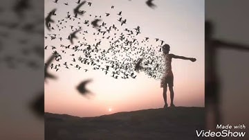 "كَلَّا إِذَا دُكَّتِ الْأَرْضُ دَكًّا دَكًّا"~~تلاوة خيالية للقارئ رعد الكردي😍😍