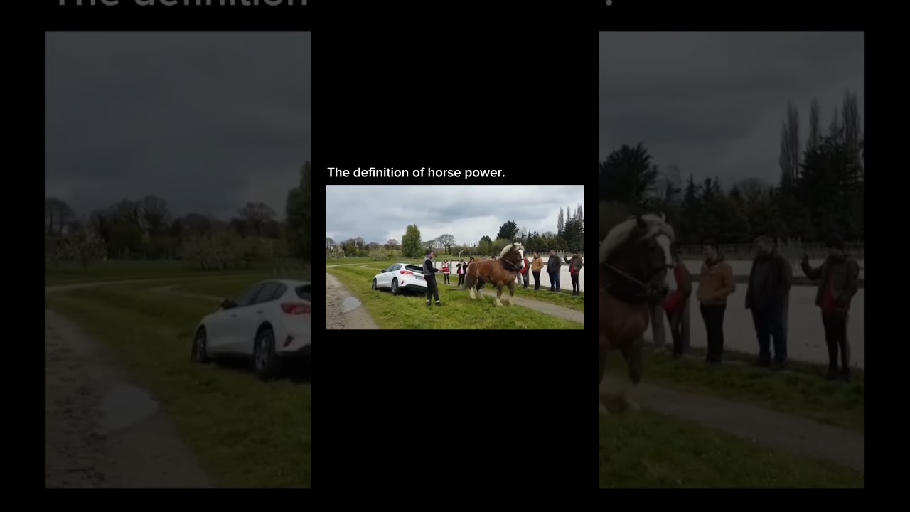 This Is What Raw Horsepower Really Looks Like 