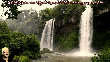 ما تيسر من سورة فصلت (30-51) "صدى" بصوت الشيخ/ محمد صديق المنشاوي
