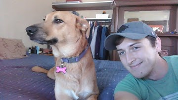 Linear/Non-Linear Regression Antoine Equation