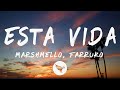 @marshmello,@farruko  - Esta Vida (Letra/Lyrics)