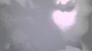 Meditation Eagle visits