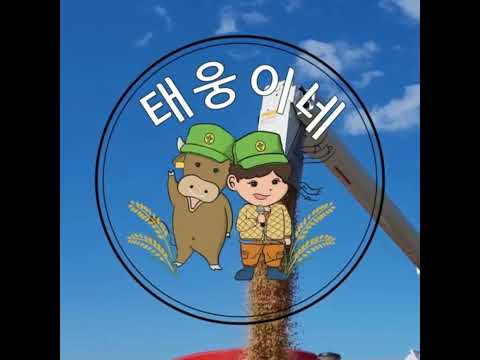 봄은 새싹이 돋아나고 새 생명 동물들이 태어납니다.