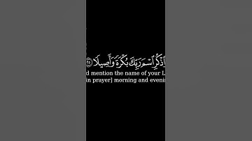 (انا نحن نزلنا عليك القرآن تنزيلا) #اسلام_صبحي  أجمل تلاوة للقران الكريم