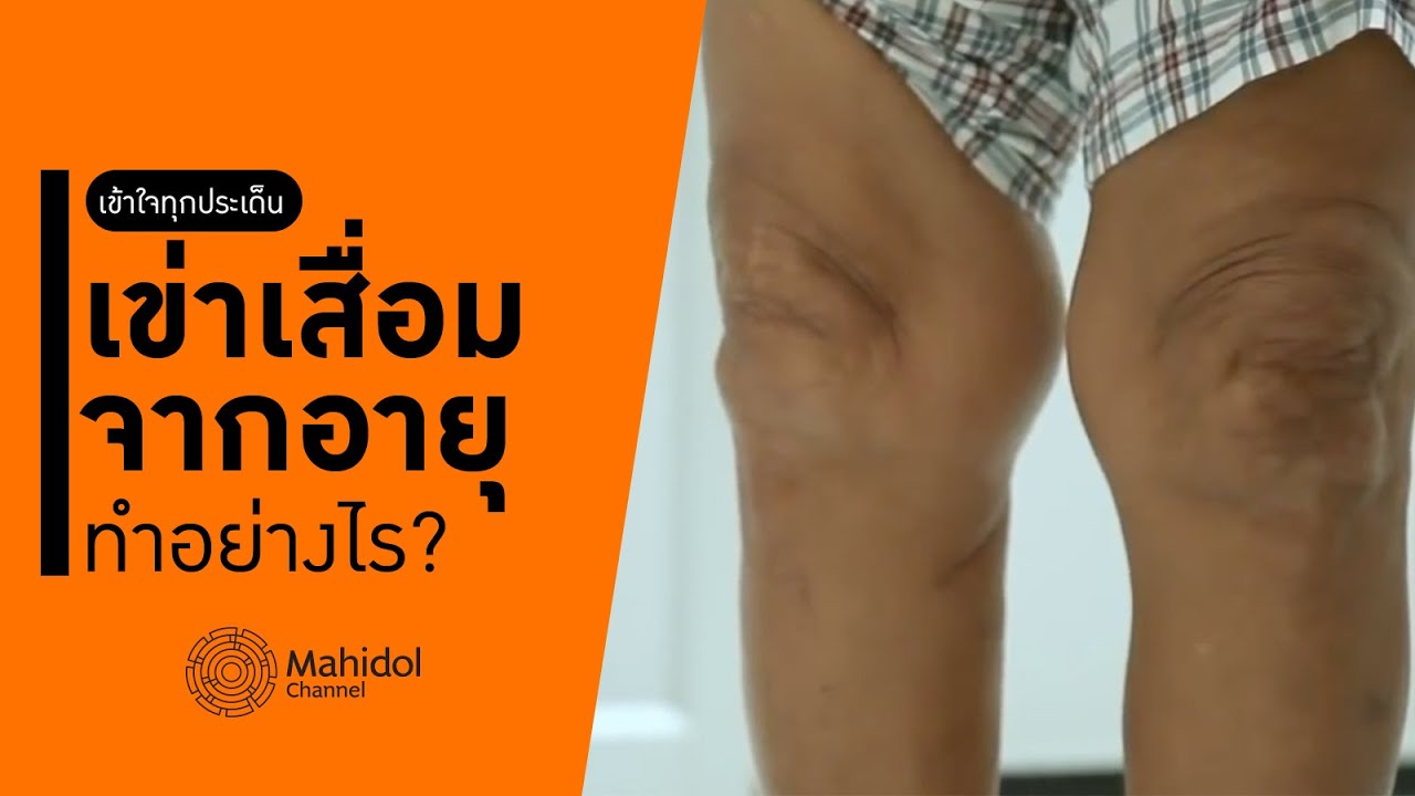 "เข่าเสื่อมจากอายุ" ทำอย่างไร? [หาหมอ by Mahidol Channel]
