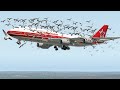MASSIVE BIRD-STRIKE ATTACK BOEING 747 | X-PLANE 11