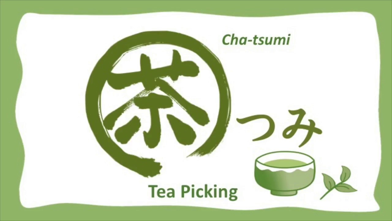 茶つみ ♬ Japanese Tea Picking Song ♬ - YouTube