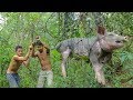 Primitive Technology: Build Pig Trap and Roasted Big Pig Eating Delicious