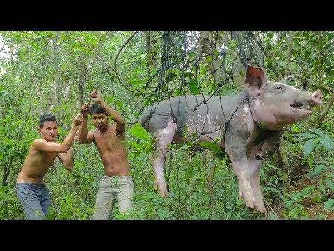 Video: Sa Gubat Ng Bundok