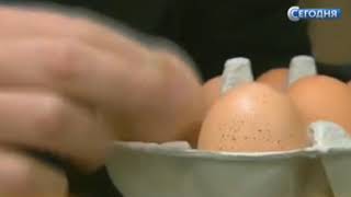 Отравленные опасным химикатом яйца из ЕС попали в магазины 18 стран