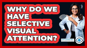 Why Do We Have Selective Visual Attention?