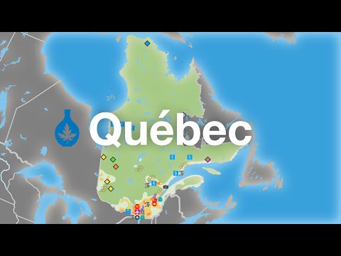 Video: Überblick über den Mont Tremblant, Quebecs größten Skiberg