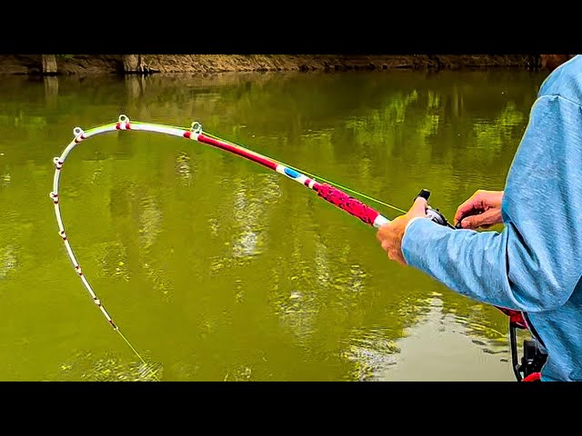 Catfish Bumping Rod  Whisker Seeker Tackle