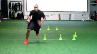 Famous Andre "bubba" Caldwell football specific agility drill Profile