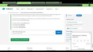 Salesforce Platform Basics