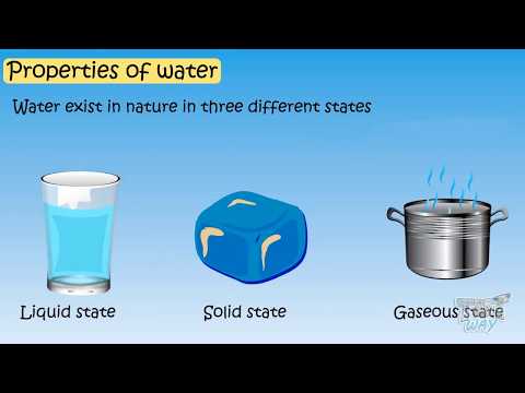 Properties of Water For Kids | Science | Tutway