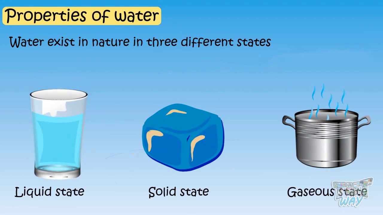 3 properties of water