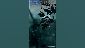 WhatsApp Video 2025 08 18 at 9 53 38 AM