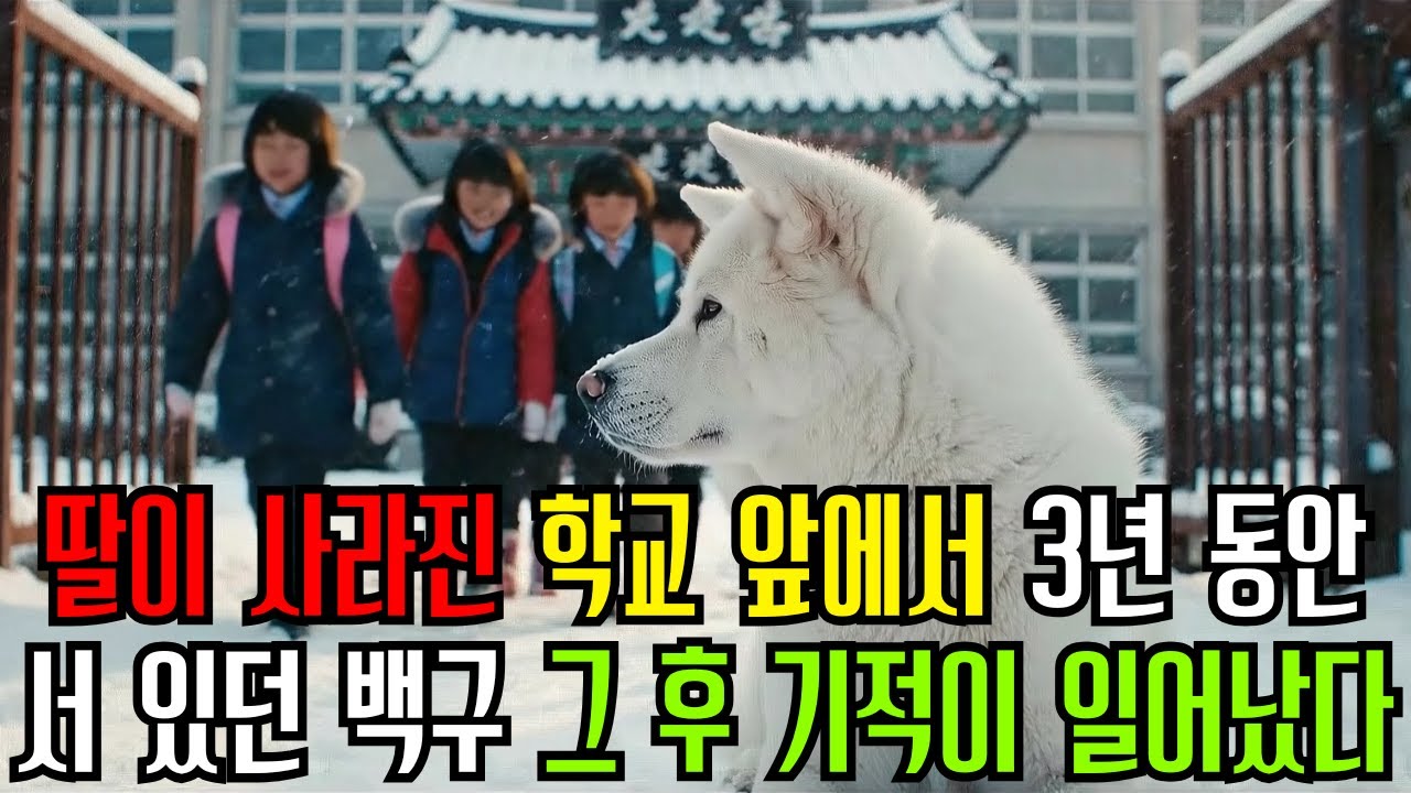 딸이 사라진 학교앞에서 3년동안 서있던 백구, 그후 기적이 일어났다ㅣ노후사연ㅣ인생이야기ㅣ오디오북