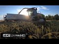 Agrardienste Rohlfing GmbH mit CLAAS Jaguar 970 und Direct Disc 600 Schneidwerk Triticale häckseln!