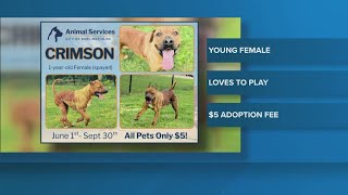 2 The Rescue: Meet Crimson