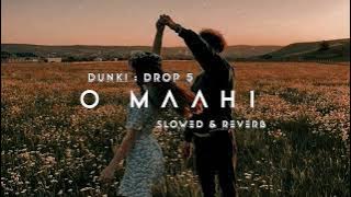 Dunki Drop 5: O Maahi (Slowed   Reverb) | Arijit Singh | Shah Rukh Khan | Lo-fi Song | Lyrics