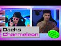 Dachs - Charmeleon (Official Video)