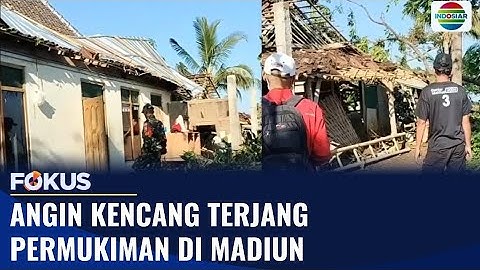 Bencana Angin dan Hujan Deras di Madiun: Puluhan Rumah Tertimpa Pohon | Fokus