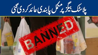 Lahore High Court imposes ban on use of polythene bags