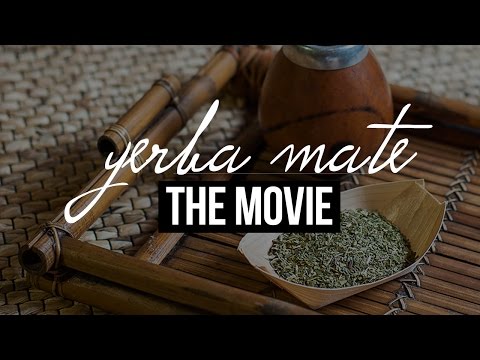 Video: Riziko Rakoviny Yerba Mate: Jak Zjistí Výzkum