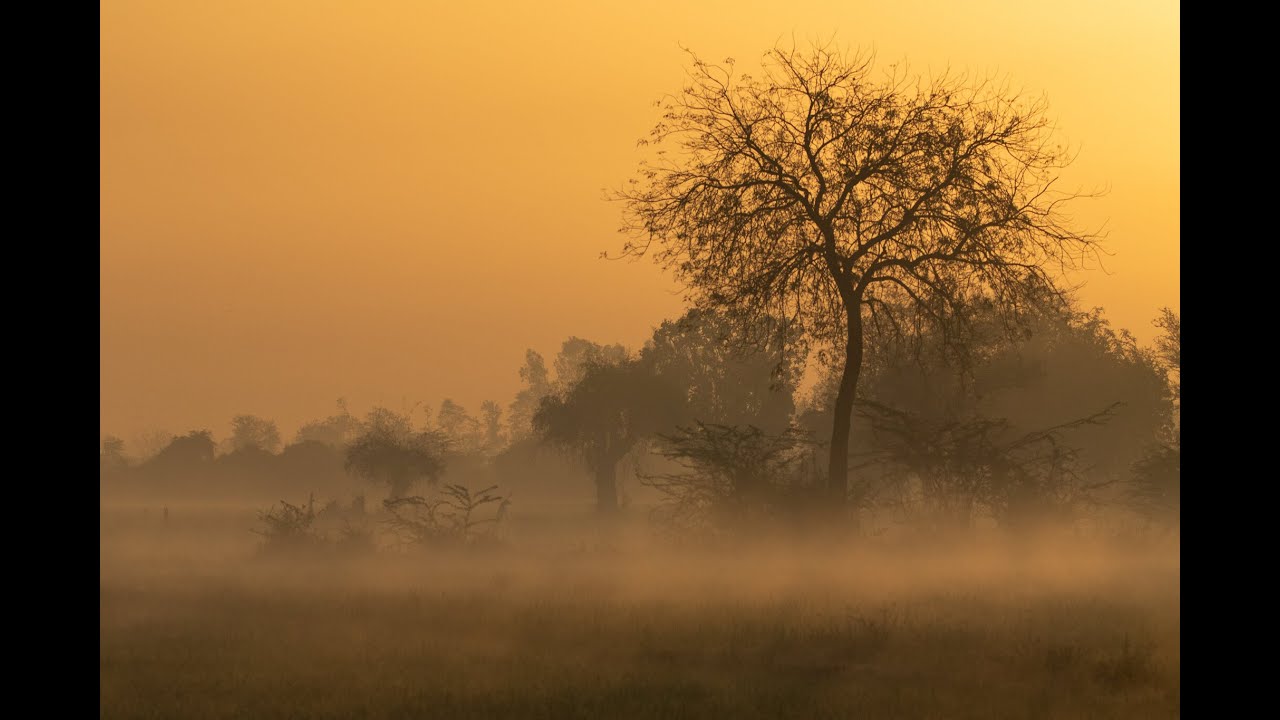 WMO, EUROPE - New Heatwave in Europe