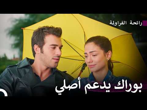 حب أصلي وبوراك السري#20 - رائحة الفراولة