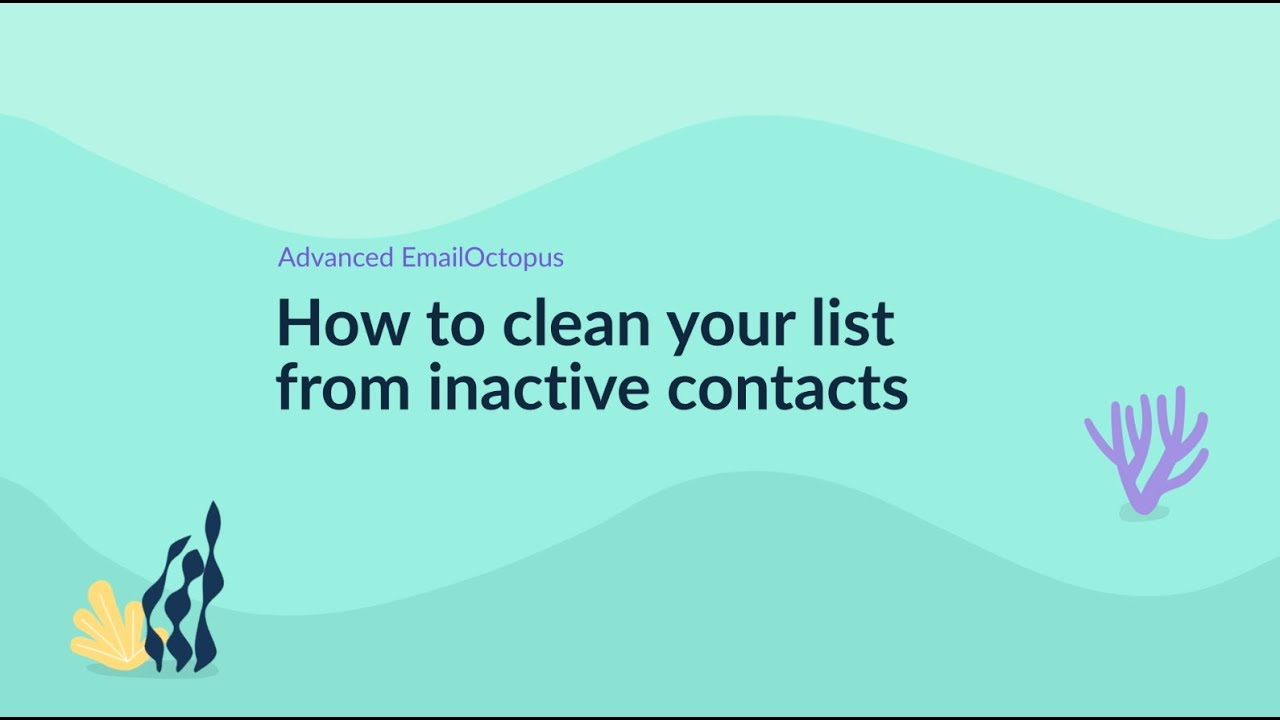 How to clean your list from inactive contacts - YouTube