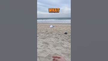 Day 154 of adding my followers to the wall of fame (Part 2)