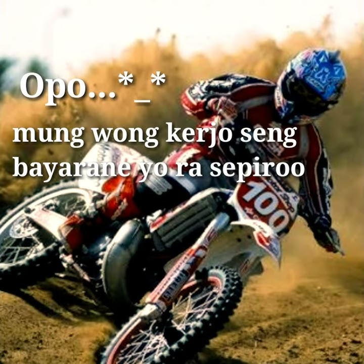 Story' WA] penteng koe seneng [mening!